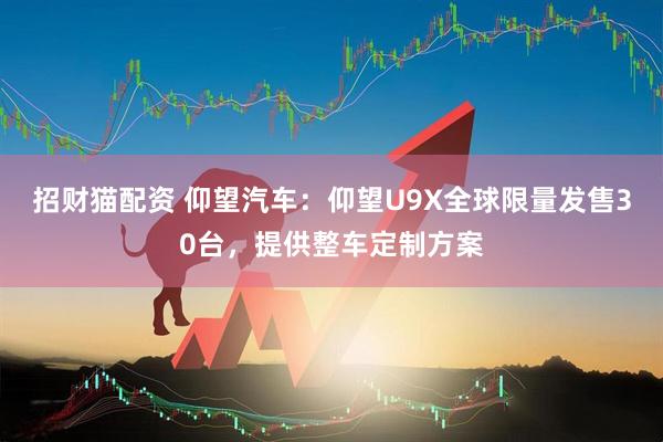 招财猫配资 仰望汽车：仰望U9X全球限量发售30台，提供整车定制方案