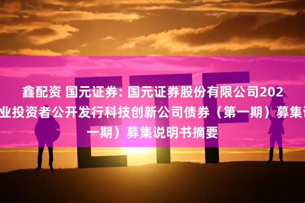 鑫配资 国元证券: 国元证券股份有限公司2025年面向专业投资者公开发行科技创新公司债券（第一期）募集说明书摘要