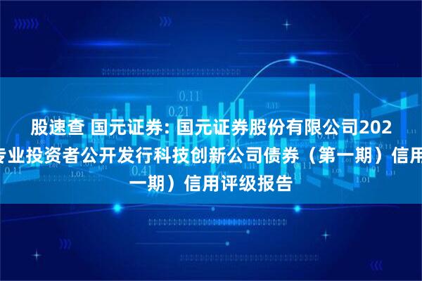 股速查 国元证券: 国元证券股份有限公司2025年面向专业投资者公开发行科技创新公司债券（第一期）信用评级报告