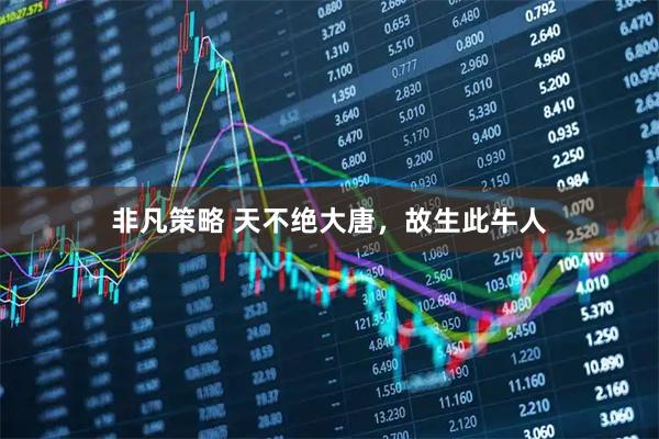 非凡策略 天不绝大唐，故生此牛人